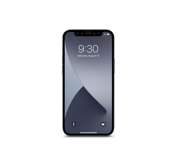Moshi Folia Moshi iVisor AG - Matowa folia ochronna na ekran iPhon - 1459786 - zdjęcie 4